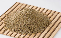 > </div>
<div class=